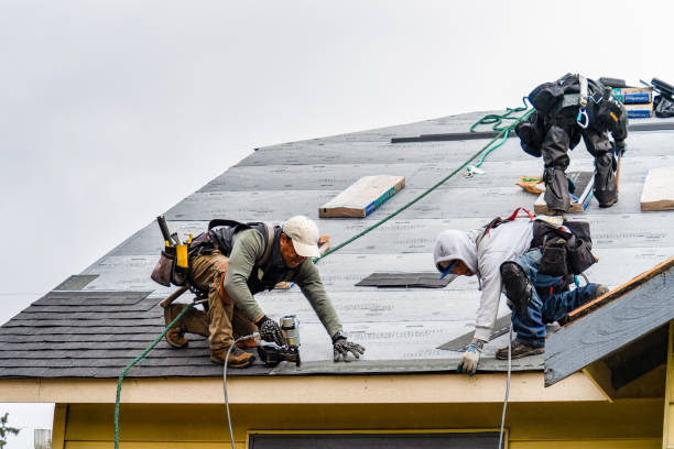 Professional Flat Roof Repair technician working in Shelton, NE